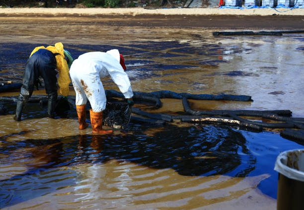 Restoration crew working in standing floodwater