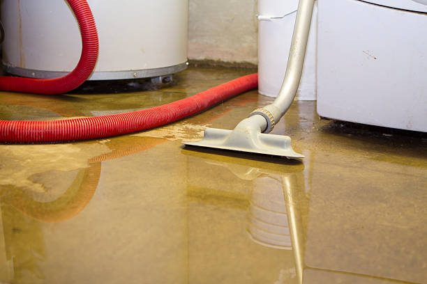 Drying set-up with extraction hose and dehumidifier