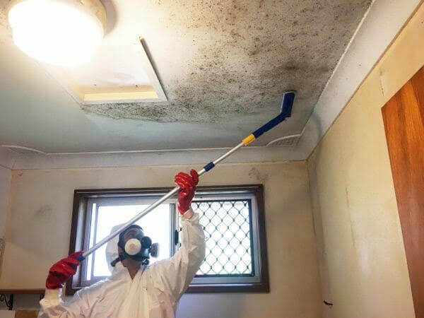 SES operative removing lead-based paint under containment