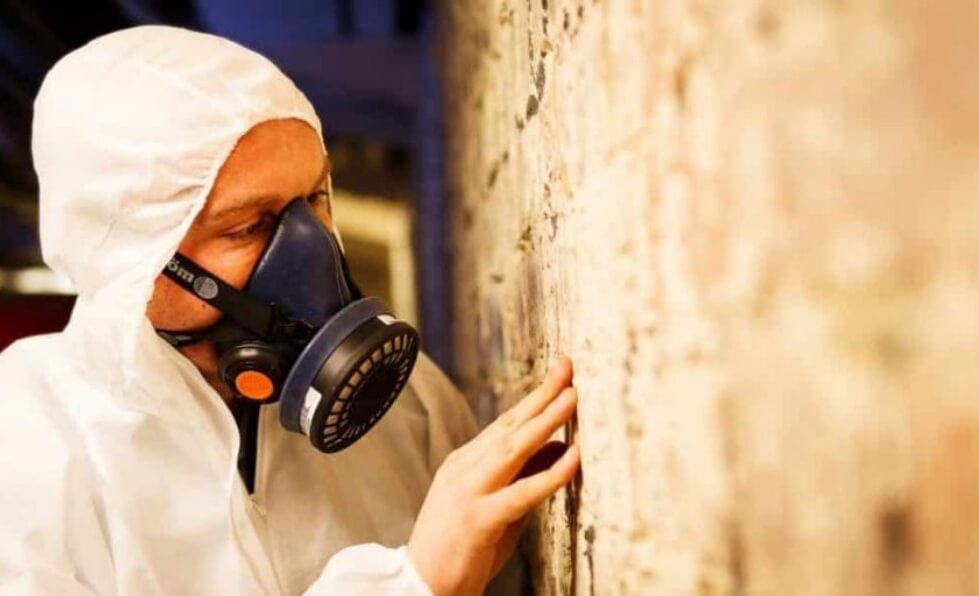 SES technician in respirator inspecting black mould on a wall
