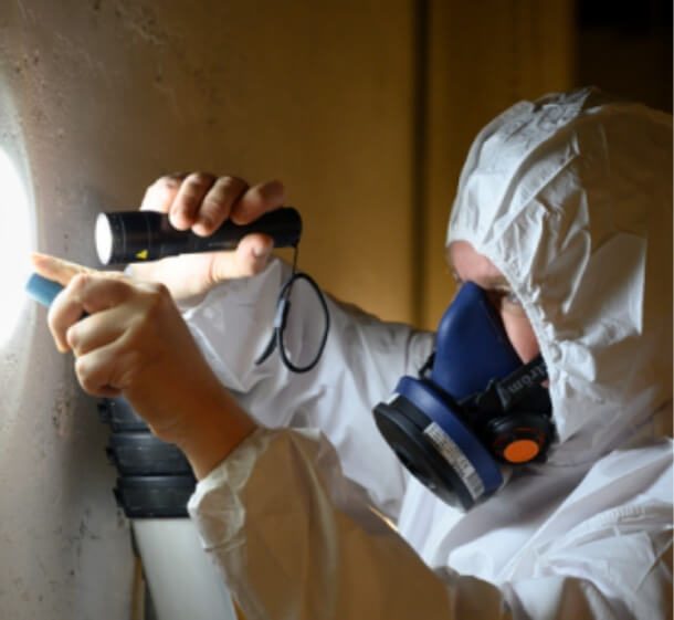 SES Specialist Cleaning technician carrying out mould remediation